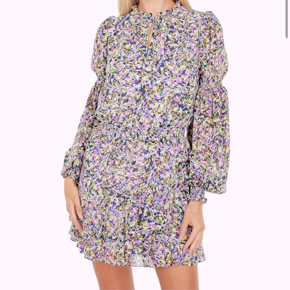 PRICEDROP!Ted Baler Karliee tiered mini dress